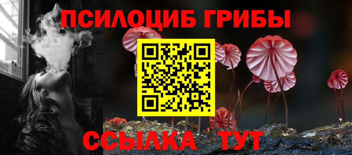 Псилоцибиновые грибы мицелий Жигулёвск